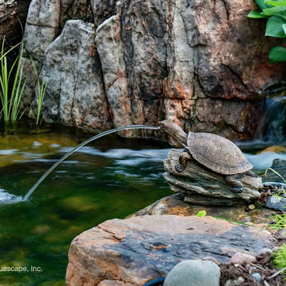 Aquascape Turtle On A Log Spitter