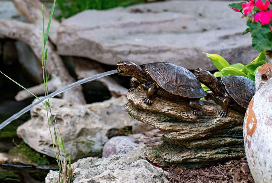 Aquascape Double Turtle On A Log Spitter