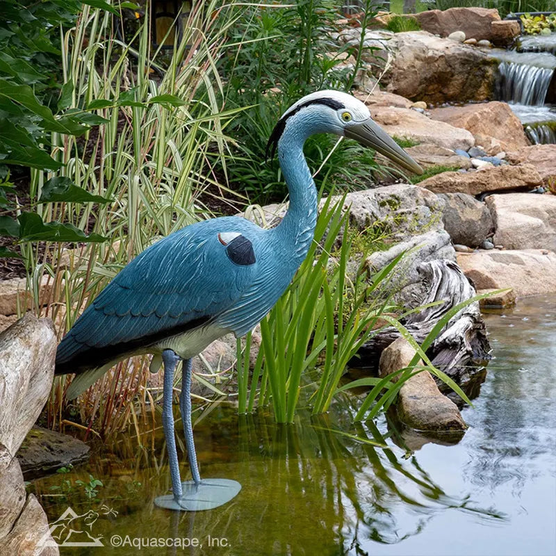 Blue Heron Decoy