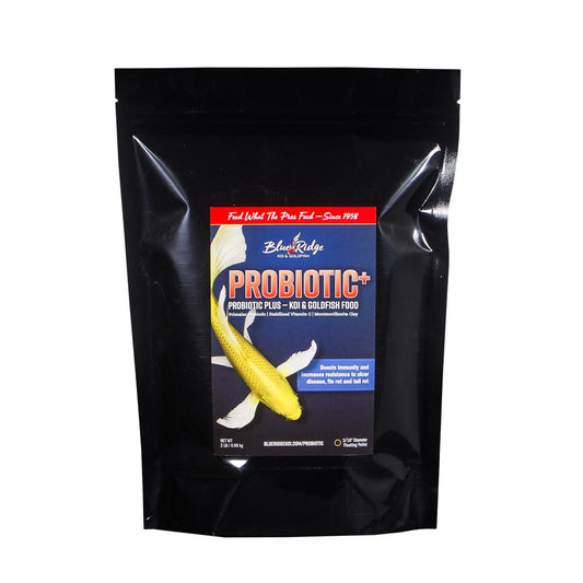 Probiotic Plus