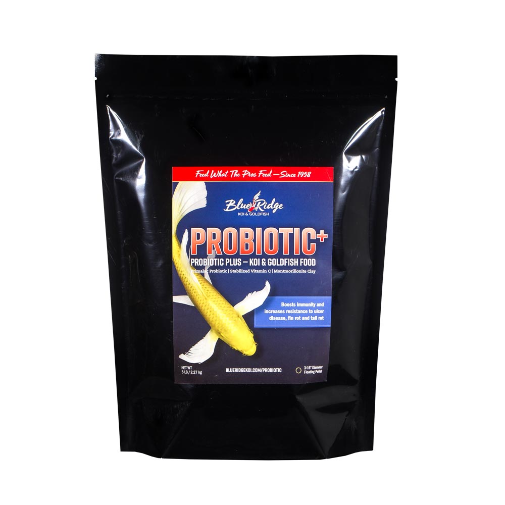 Probiotic Plus